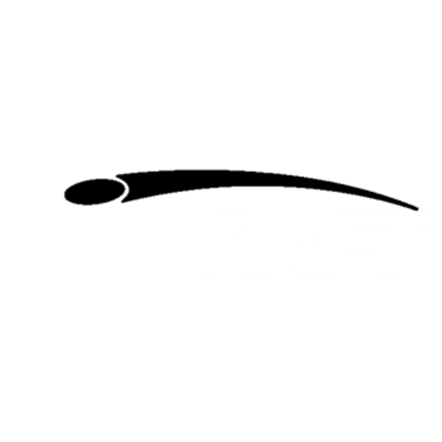 Discraft Logo