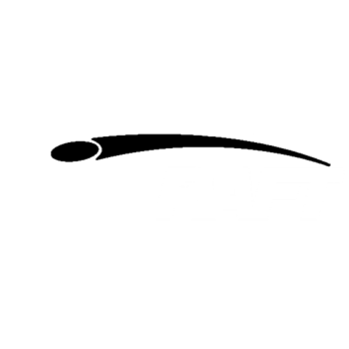 Discraft Logo